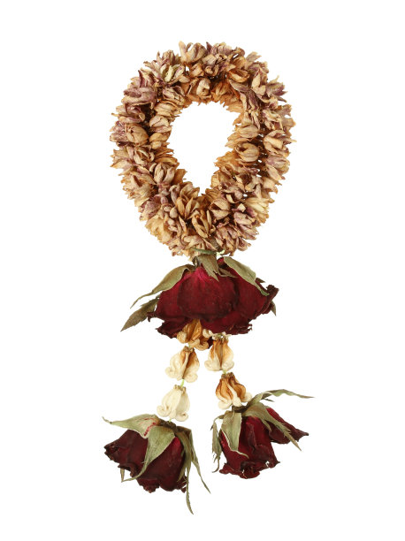 干加花图片下载