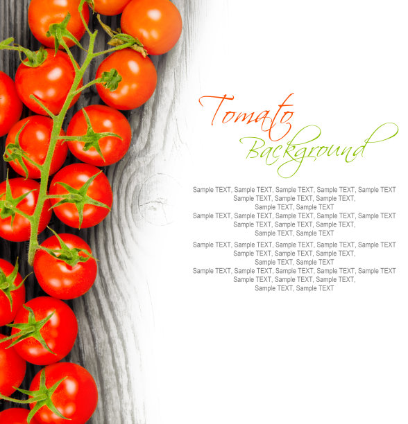 西红柿图片下载