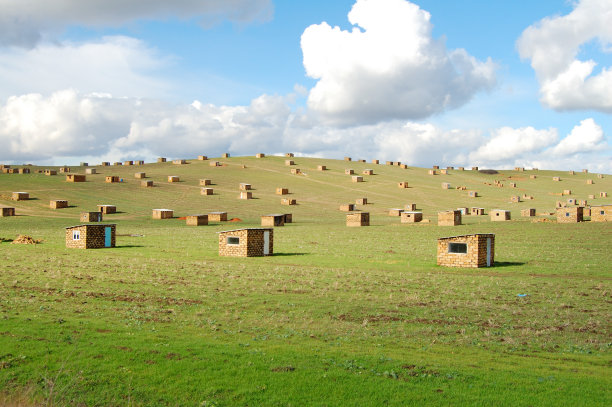 新农村图片下载