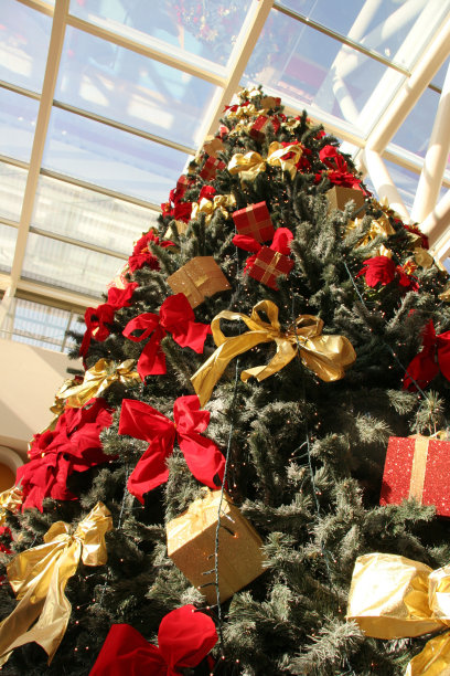 圣诞树图片下载