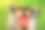 情人节图片素材ID：138742420