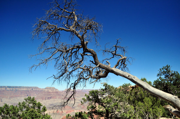 大峡谷图片下载