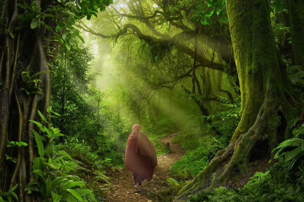 亚洲热带丛林图片下载