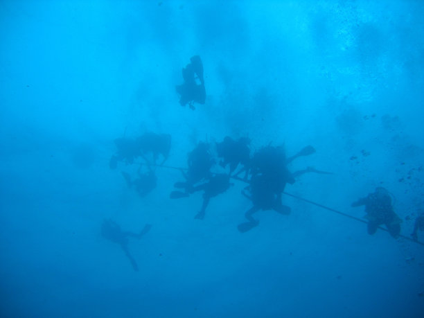 潜水-仰视图片下载