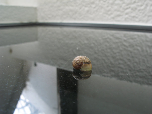 螺旋线图片下载