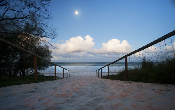 月光照在海滩上图片下载