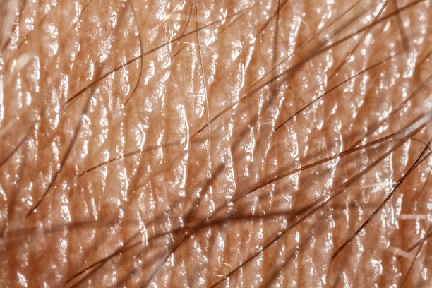 有头发的人体皮肤特写图片下载