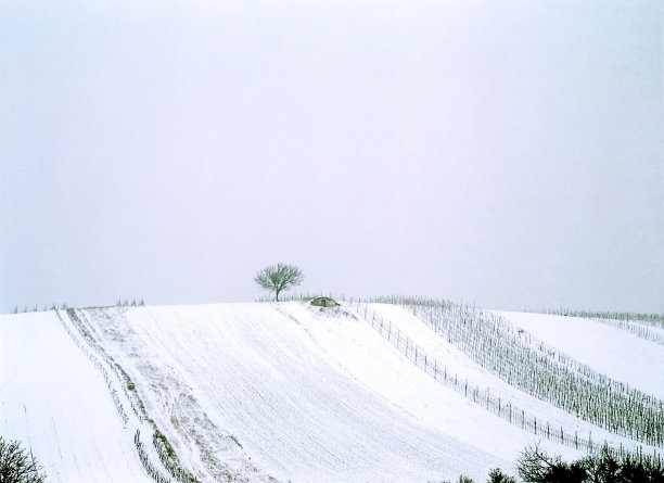 晴空下的农田风景图片下载