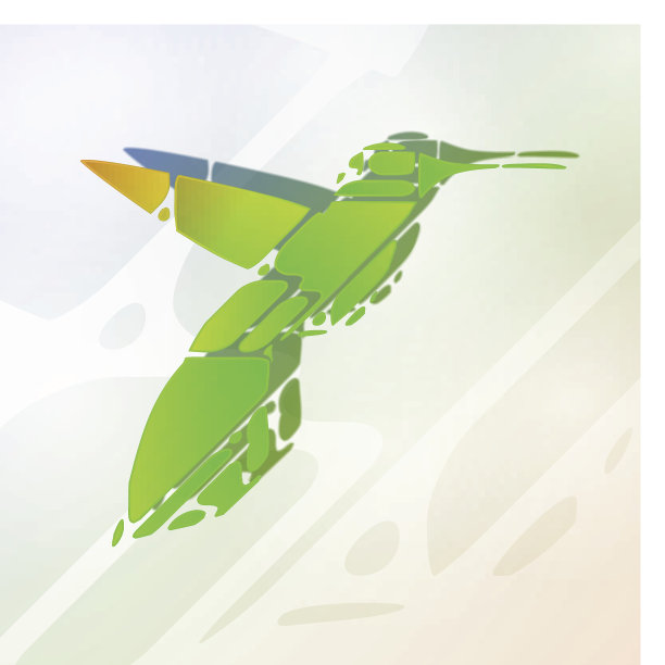 色彩斑斓的蜂鸟图片下载