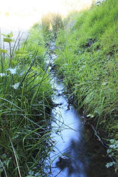 牛奶流图片下载