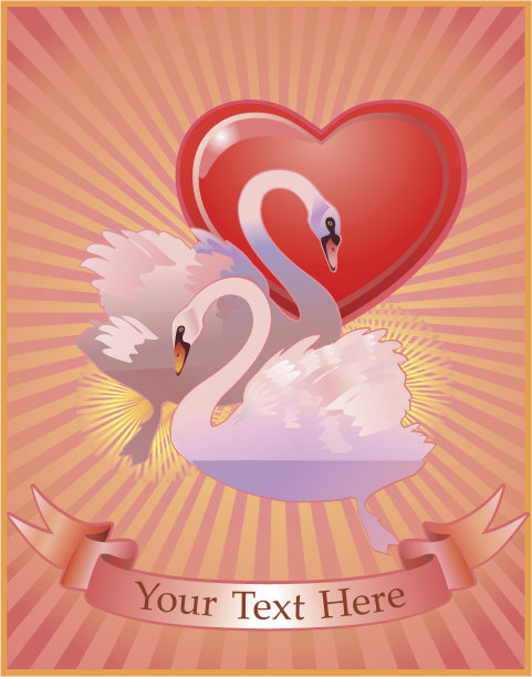 爱的天鹅图片下载