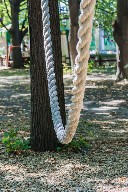 空旷的秋千在城市的操场上。图片下载