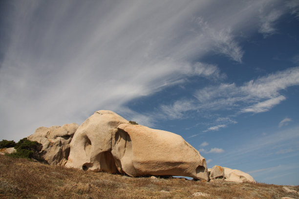 恐龙的岩石图片下载