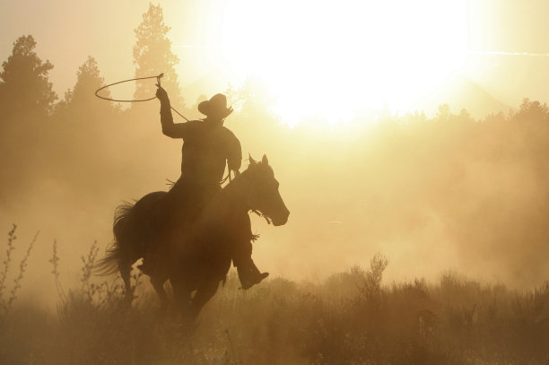 牛仔用绳子套住他的马图片下载