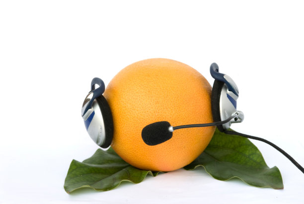 白色背景下耳机内葡萄柚隔离图片下载