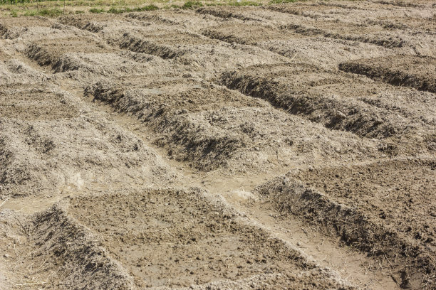 将农田图片下载