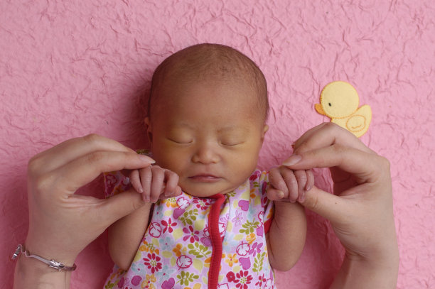 新成员图片下载