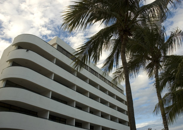 棕榈树下的建筑图片下载