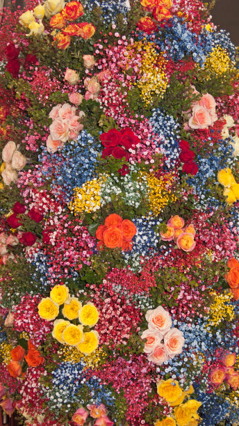 五彩缤纷的花朵backgound图片下载