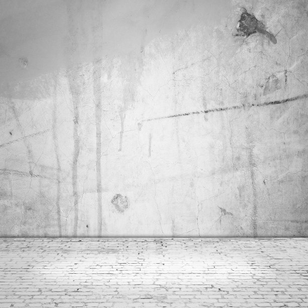 复古的黑白房间内饰图片下载