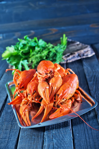 煮熟的龙虾图片下载