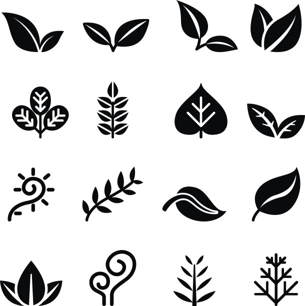 叶子，植物，草药，植被，图标设置图片下载