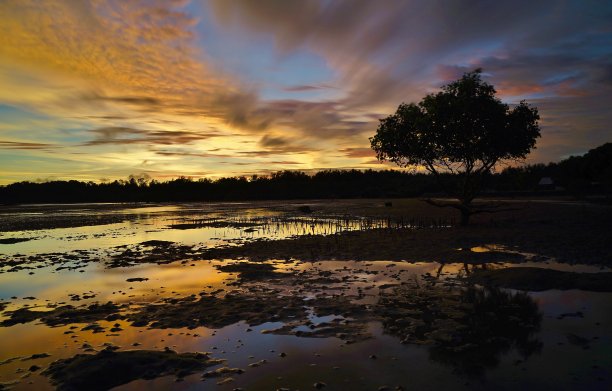 独自一人图片下载