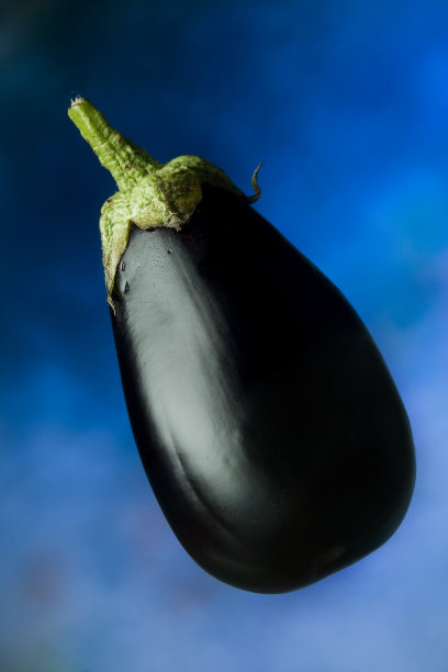 了茄子图片下载