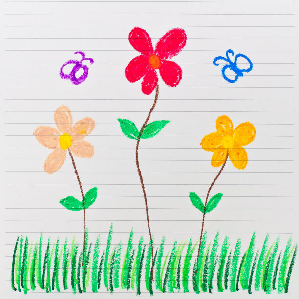 在横格纸上画一幅花的素描图片下载