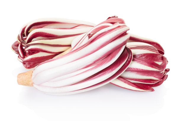 菊苣，红色特雷维索沙拉组图片下载