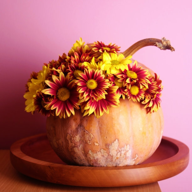 南瓜和花图片下载