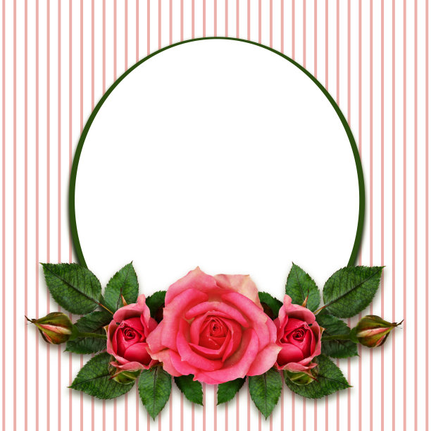 玫瑰花组成和椭圆形框架图片下载