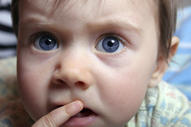 美丽的宝贝图片下载