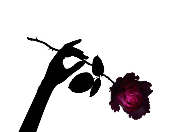 红玫瑰手剪影图片下载