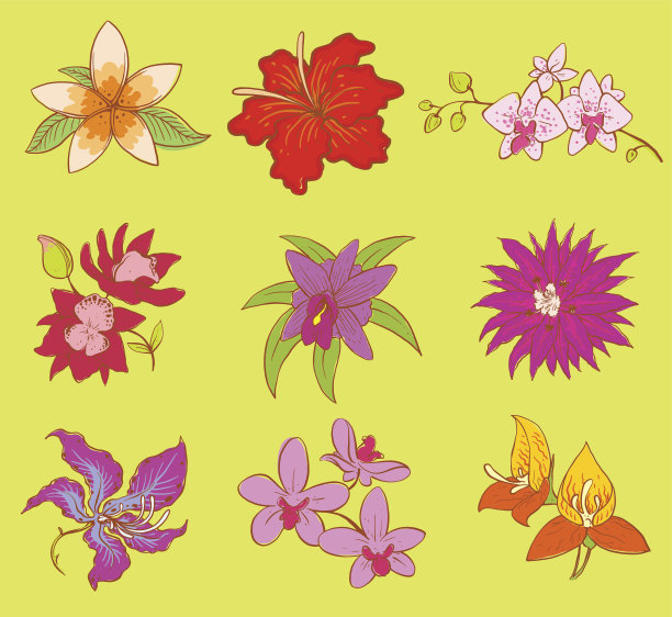 美丽的水彩花集素材图片