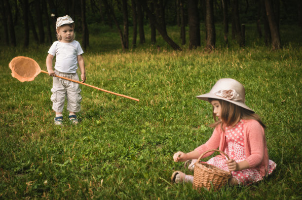 蝴蝶网图片下载