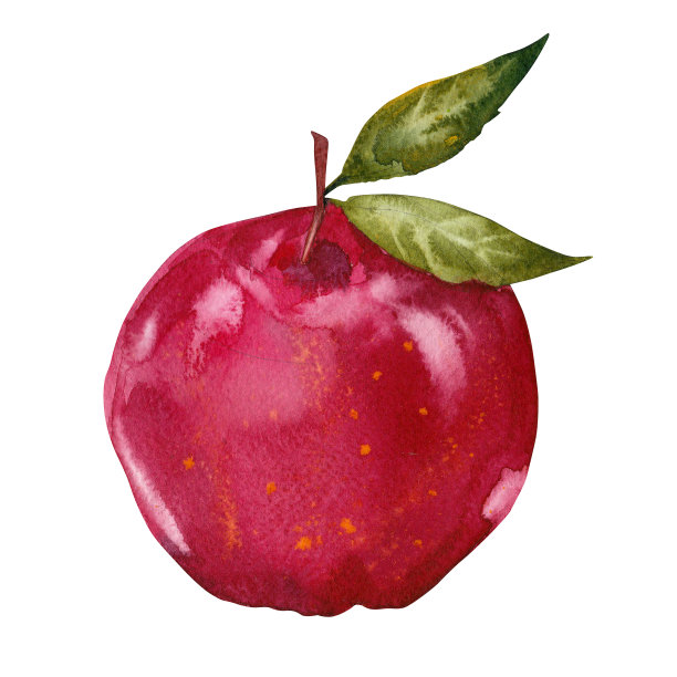 水彩画的红苹果图片下载