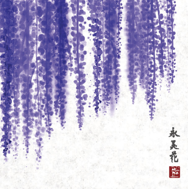 用墨水手绘的紫藤图片下载