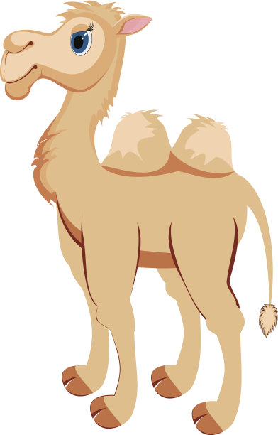 骆驼图片下载