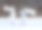 丹顶鹤照片素材ID：138942100