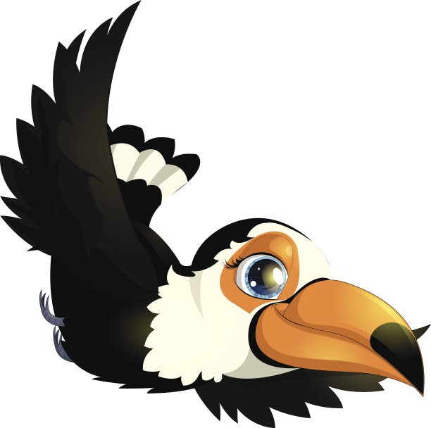 巨嘴鸟素材图片