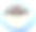 起泡的河豚鱼图片下载