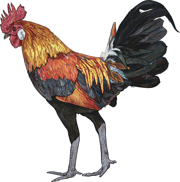 五颜六色的旋塞图片下载