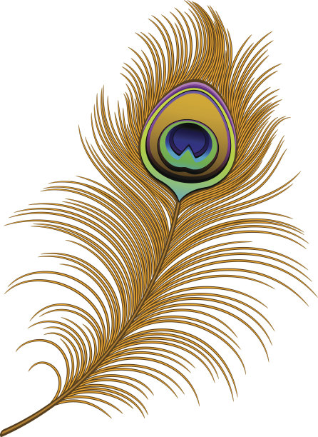 孔雀羽毛图片下载