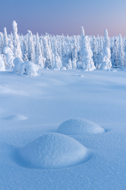 拉普兰的冬景图片下载