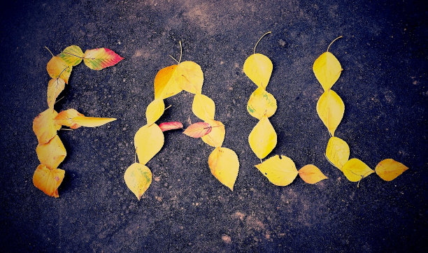 秋天在城市里，美丽的秋叶在地上组成图片下载