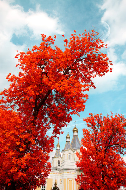 在红外光谱中图片下载