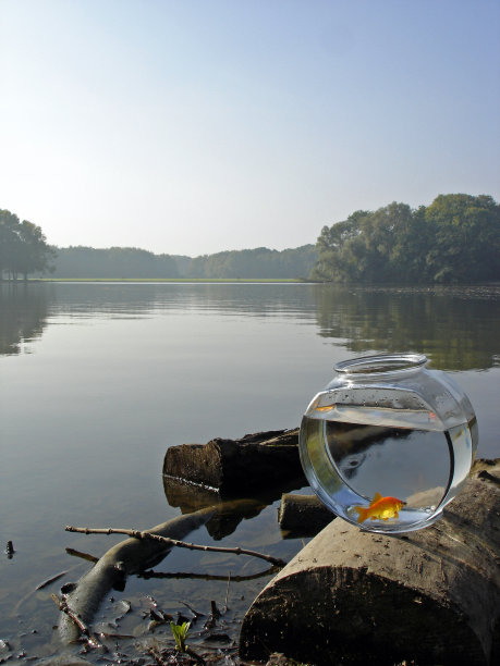 远大梦想2图片下载