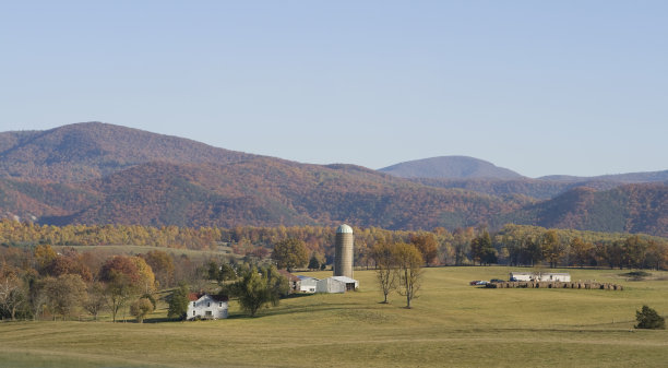 秋天的农村图片下载
