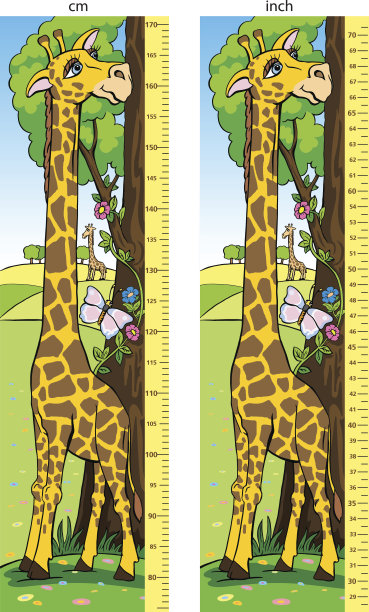 长颈鹿，矢量，卡通，可爱，插图图片下载